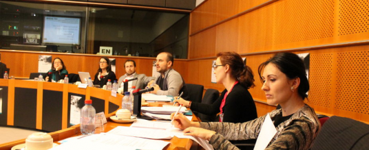 Round table discussion, Brussels 24 April 2013